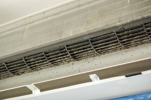 Best Local Air Duct Cleaning Services  in Alliae, NC